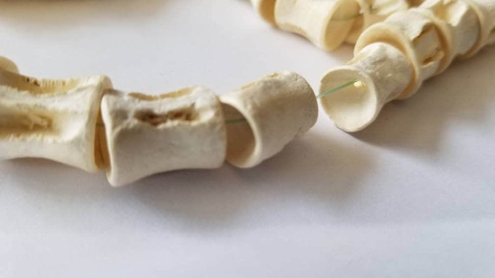 Fish Bone Beads, African Fish Vertebra Beads