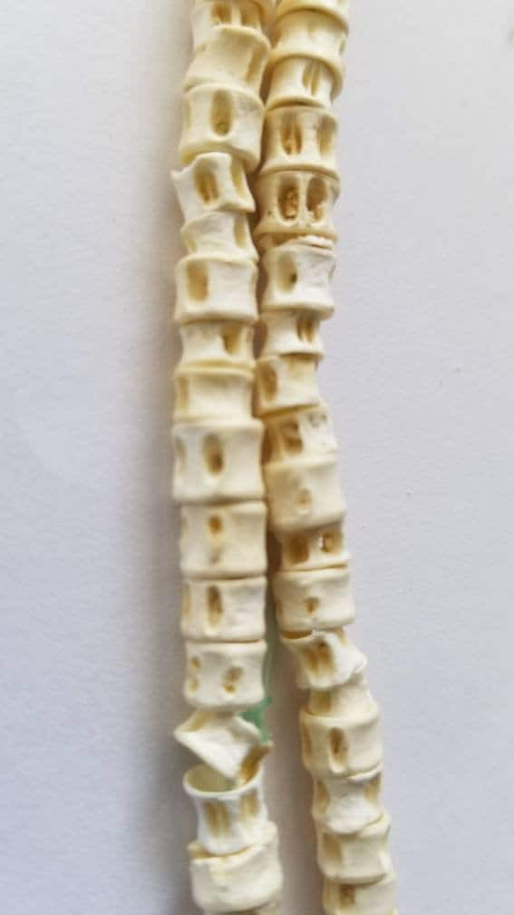 Fish Bone Beads, African Fish Vertebra Beads