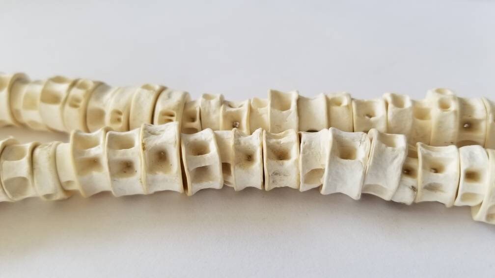 Fish Bone Beads, African Fish Vertebra Beads