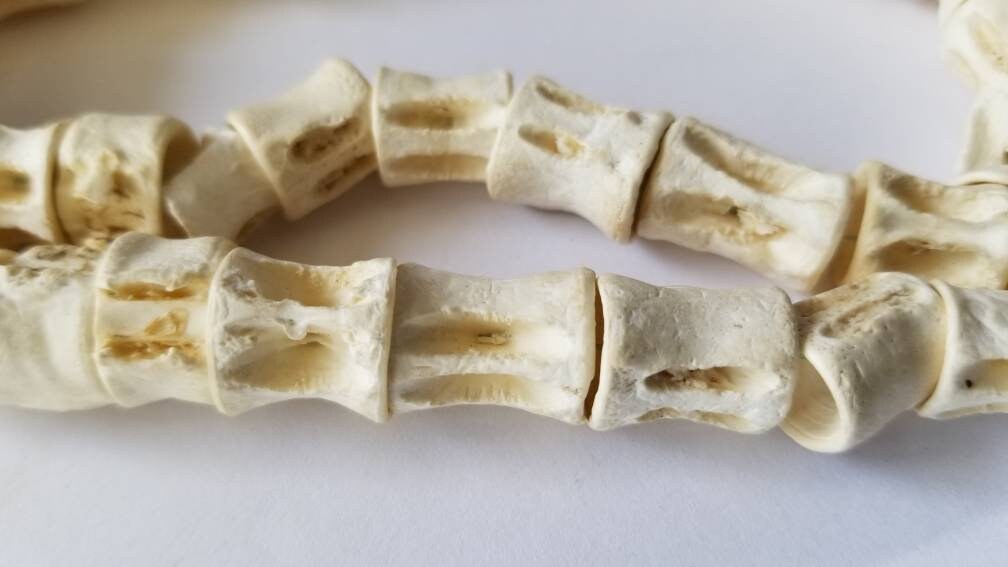 Fish Bone Beads, African Fish Vertebra Beads