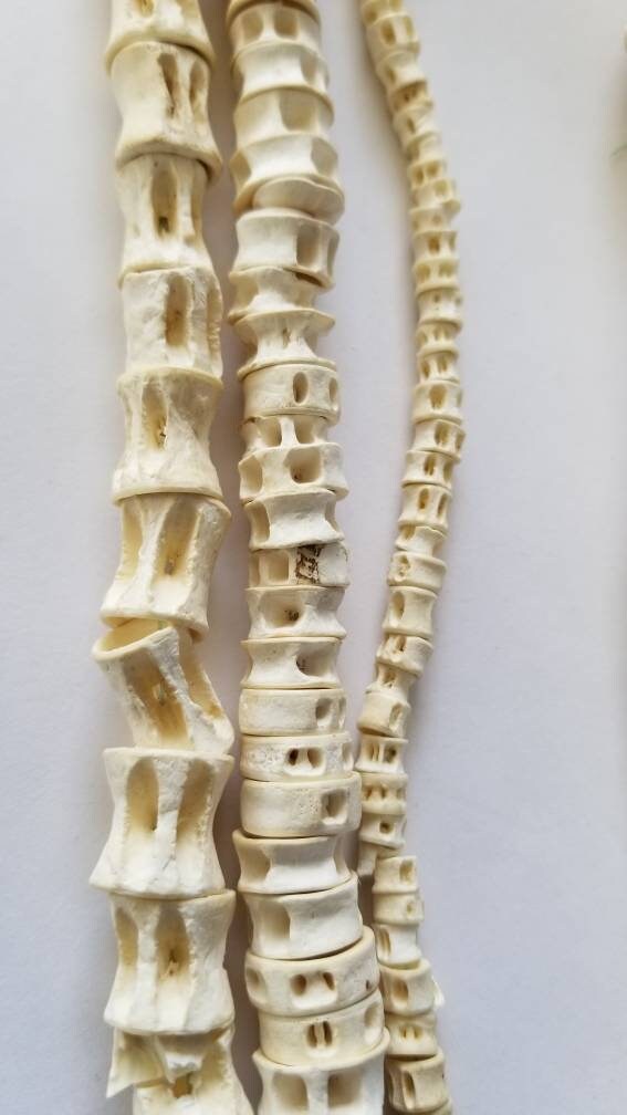 Fish Bone Beads, African Fish Vertebra Beads