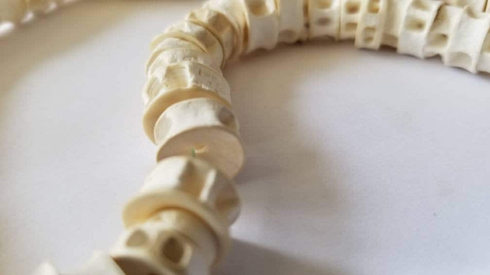 Fish Bone Beads, African Fish Vertebra Beads