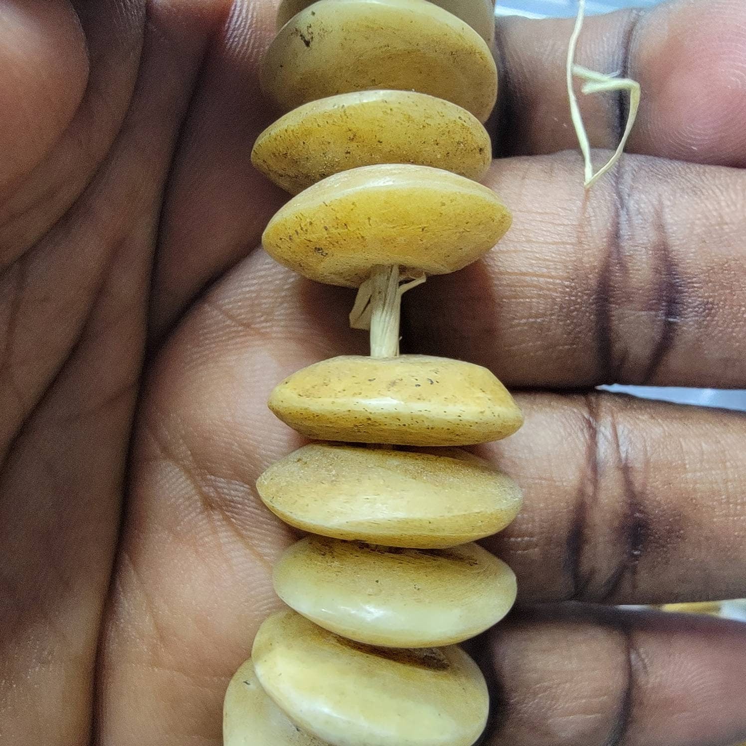 Natural African Bone Saucer